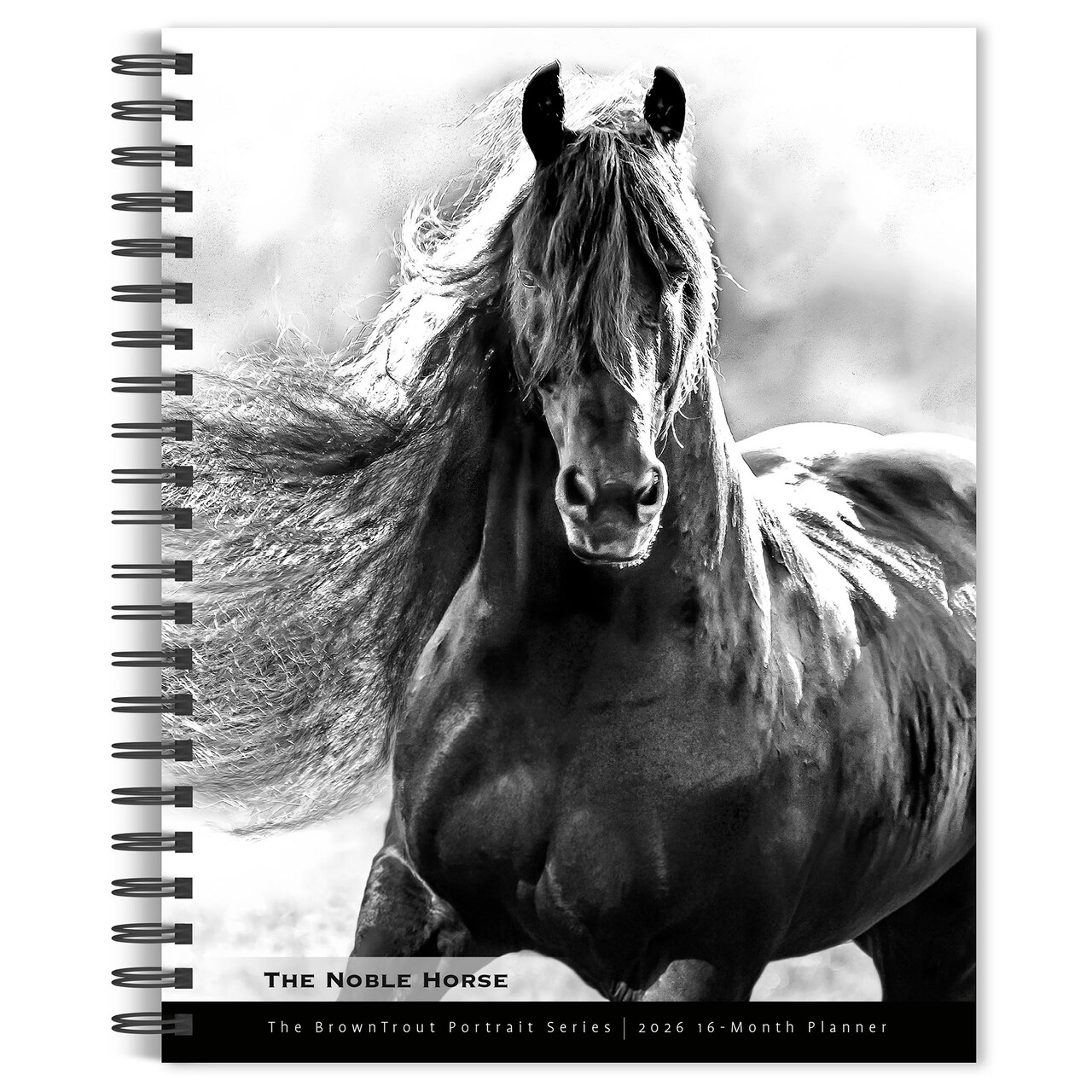 The BrownTrout Portrait Series: The Noble Horse | 2026 6x7.75 Inch Spiral-Bound Wire-O Weekly Engagement Planner Calendar | New Image Every Week